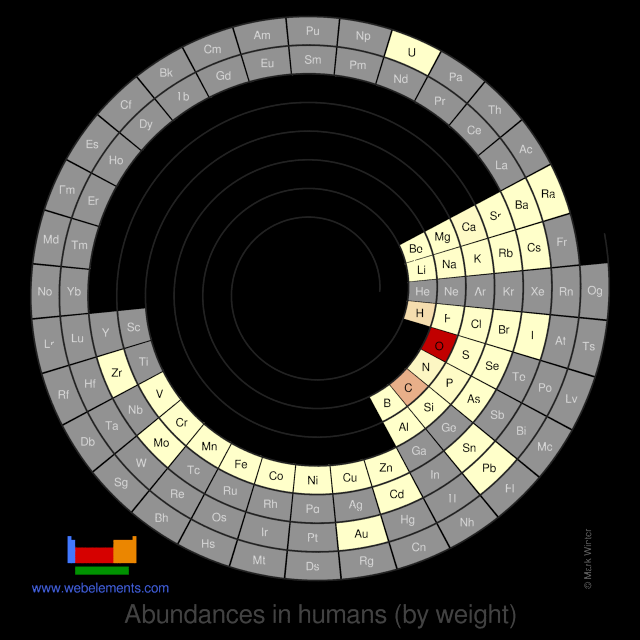 Image showing periodicity of the chemical elements for abundances in humans (by weight) in a circular periodic table heatscape style.